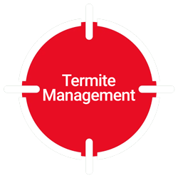 Termite Management