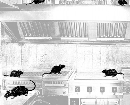 Image of rats running around a kitchen