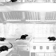 Image of rats running around a kitchen