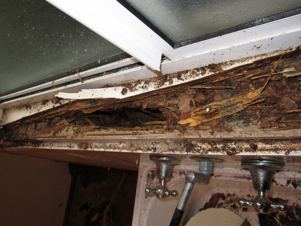 Image of termite damage to window sil