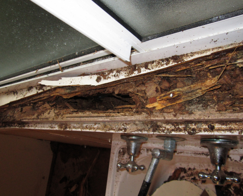 Image of termite damage to window sil