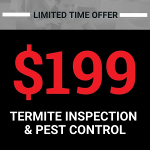 $199 termite inspection & pest control promo banner