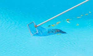 Images of leaves in a swimming pool being cleaned