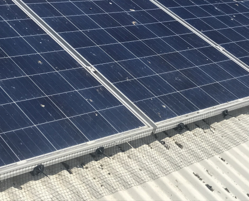 Image of solar panel with bird proofing