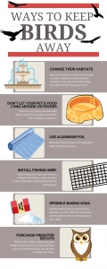 Infographic of ways to keep birds away