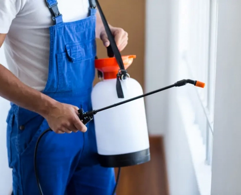 Pest control experty spraying pesticide