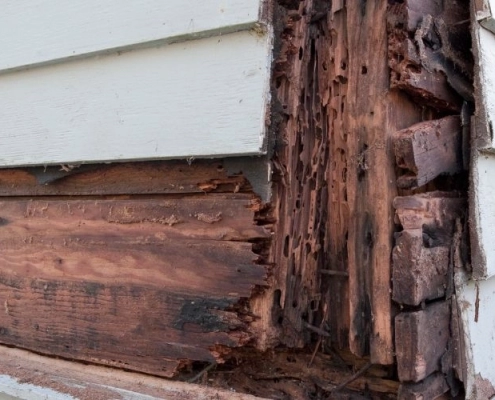 Side wall foundation of a home damaged by termites