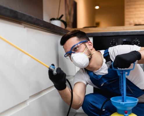 pest control technician spraying kitchen counter