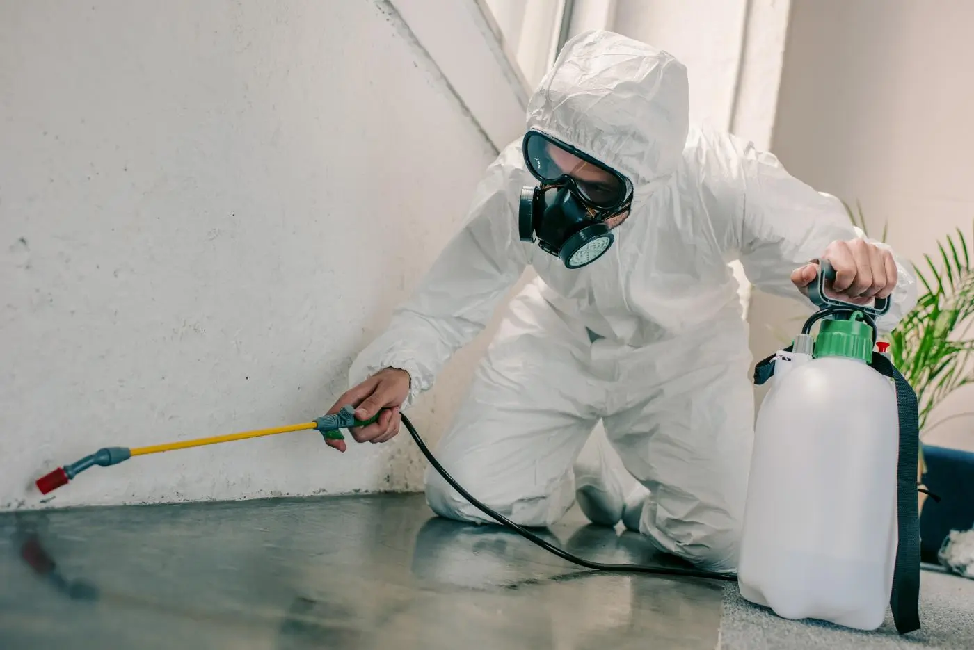 Bob Gunn technician treating flying ants in Forestdale