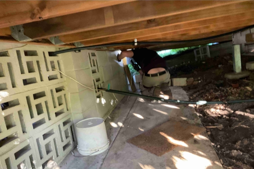 Termite Treatment Inspection