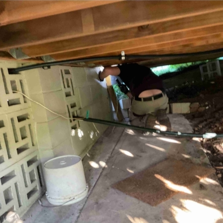 Termite Treatment Inspection