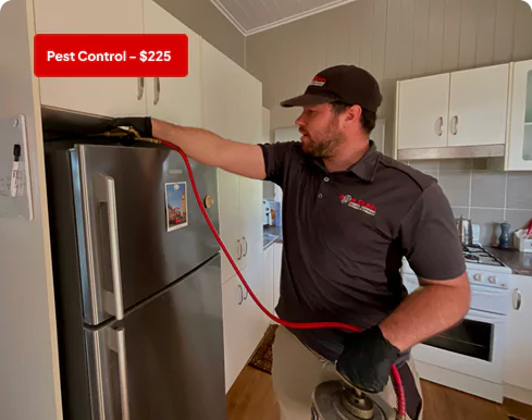 Eco-friendly pest control treatment in Bridgeman Downs