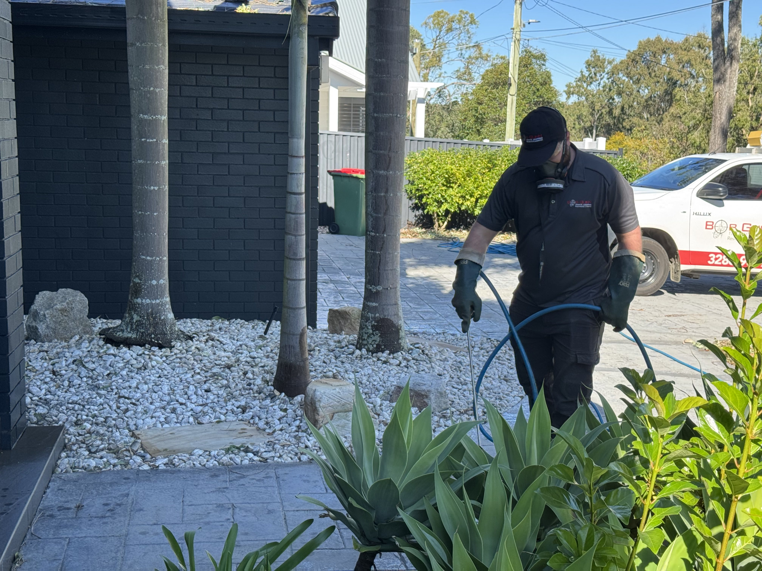 Professional rodent control and exclusion in Bridgeman Downs