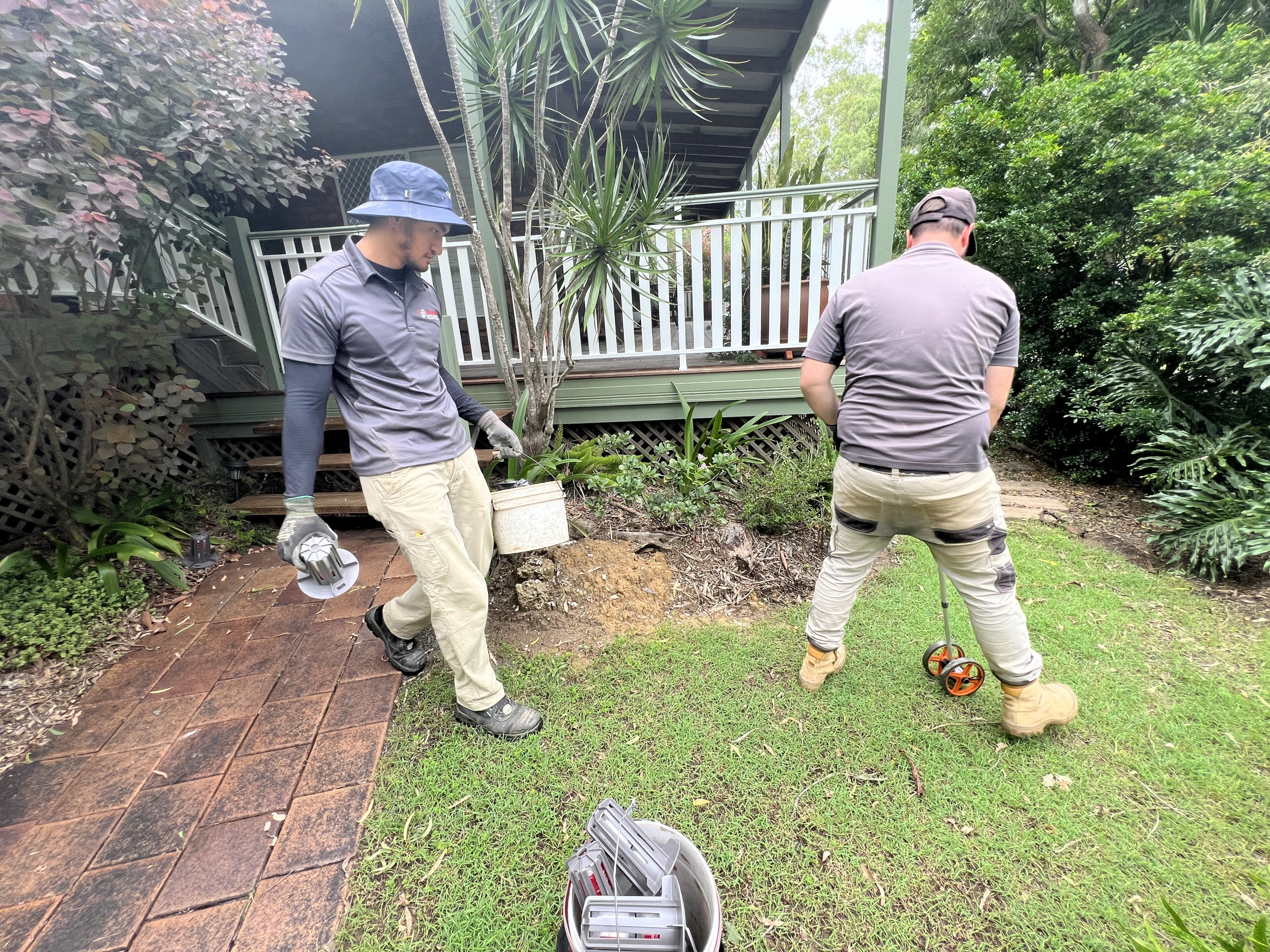 Custom commercial termite management for Brisbane facilities