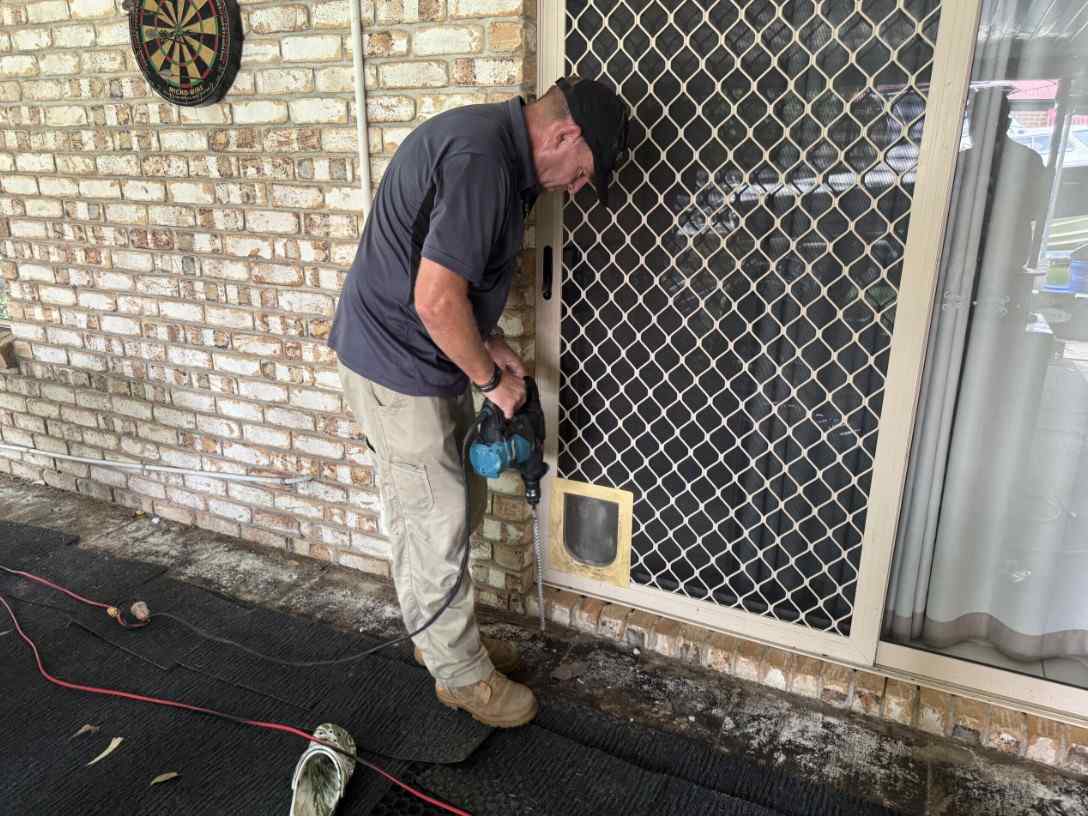 Why Your Business Needs Commercial Pest Management?