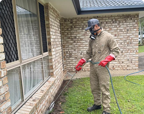 Termite barrier perimeter detail in Stafford Heights